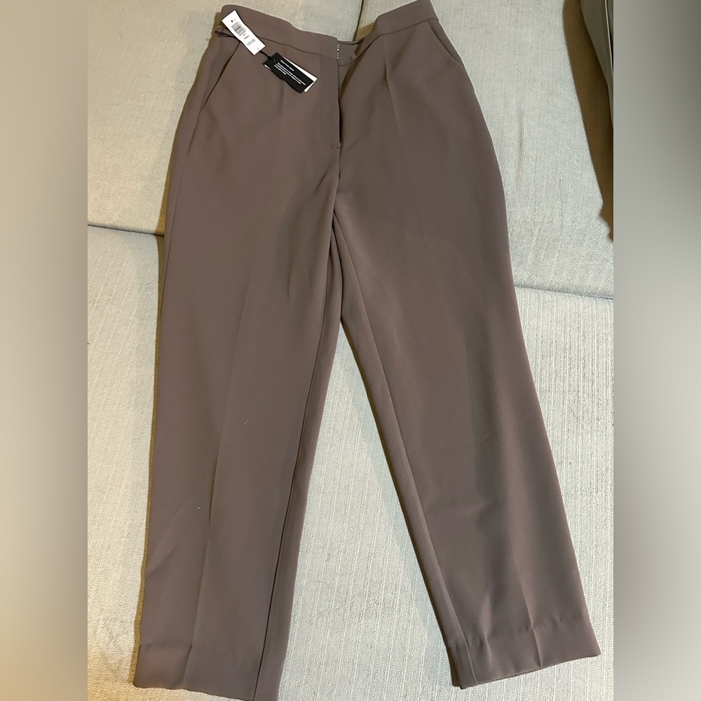 Aritzia Babaton Renzo Dress Pant